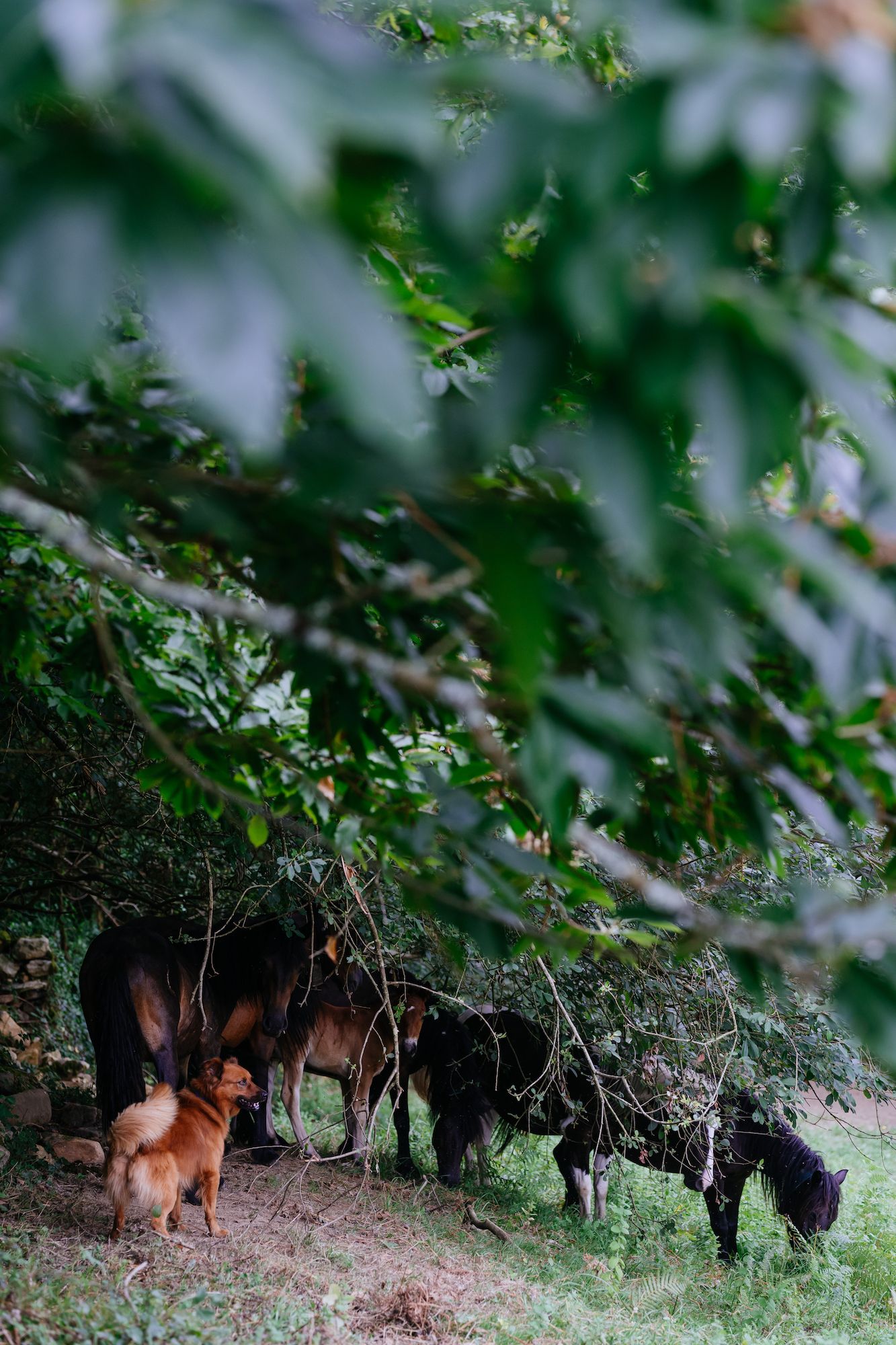 Empreinte positive de Navarra.