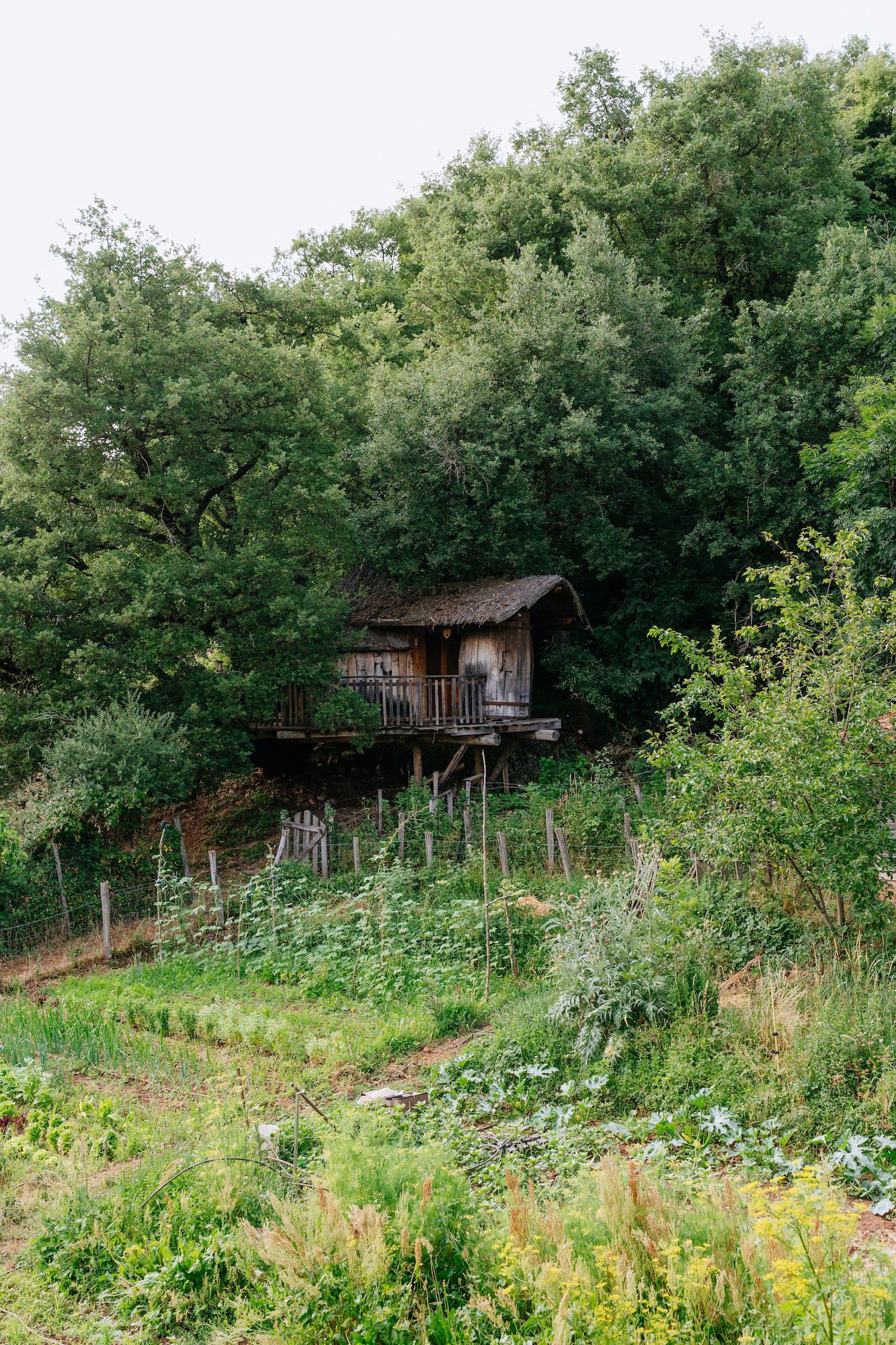 Empreinte positive de Navarra.