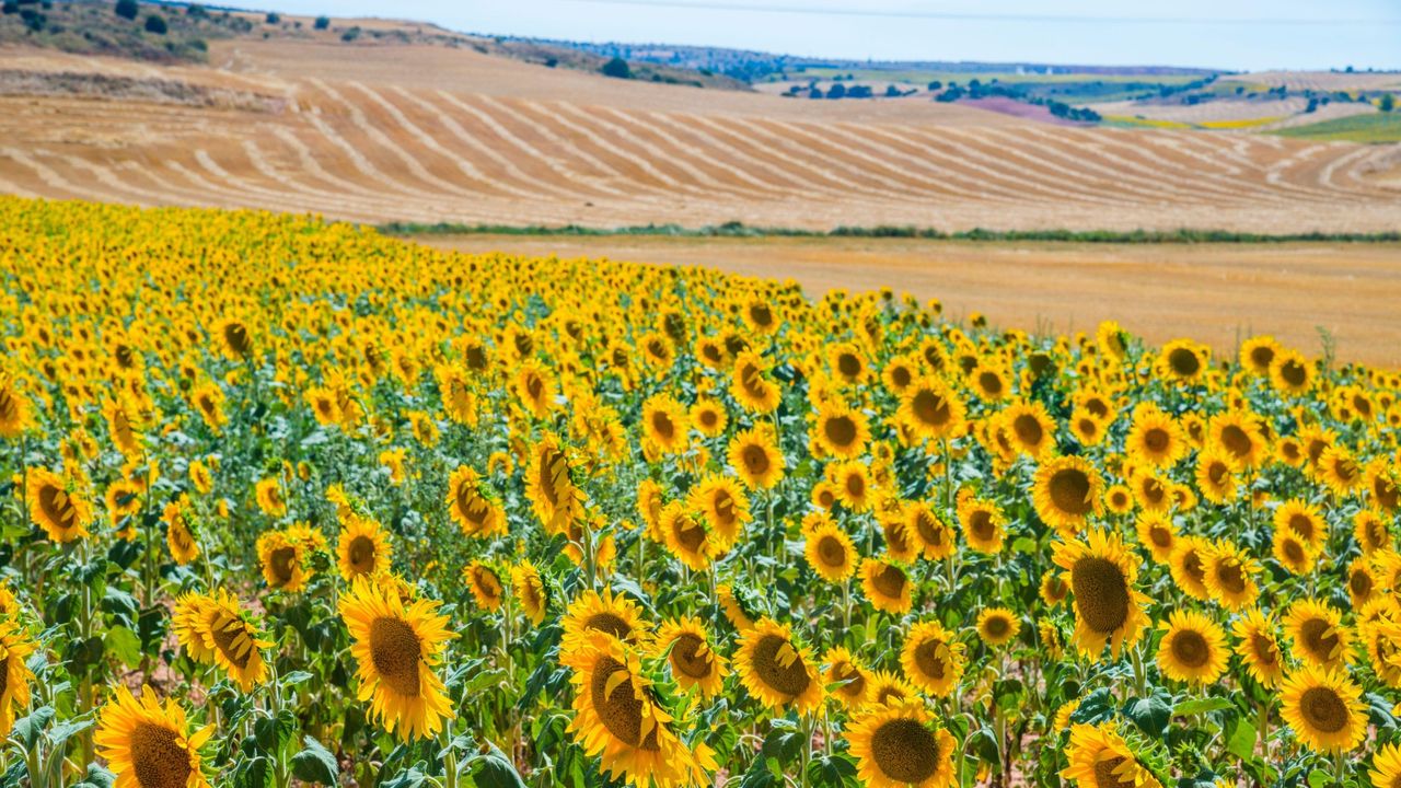 Condé Nast Traveler