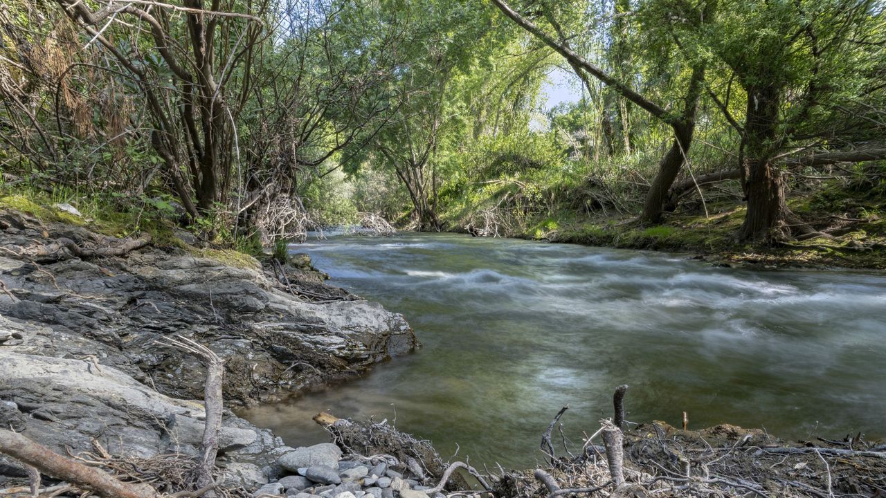 Condé Nast Traveler