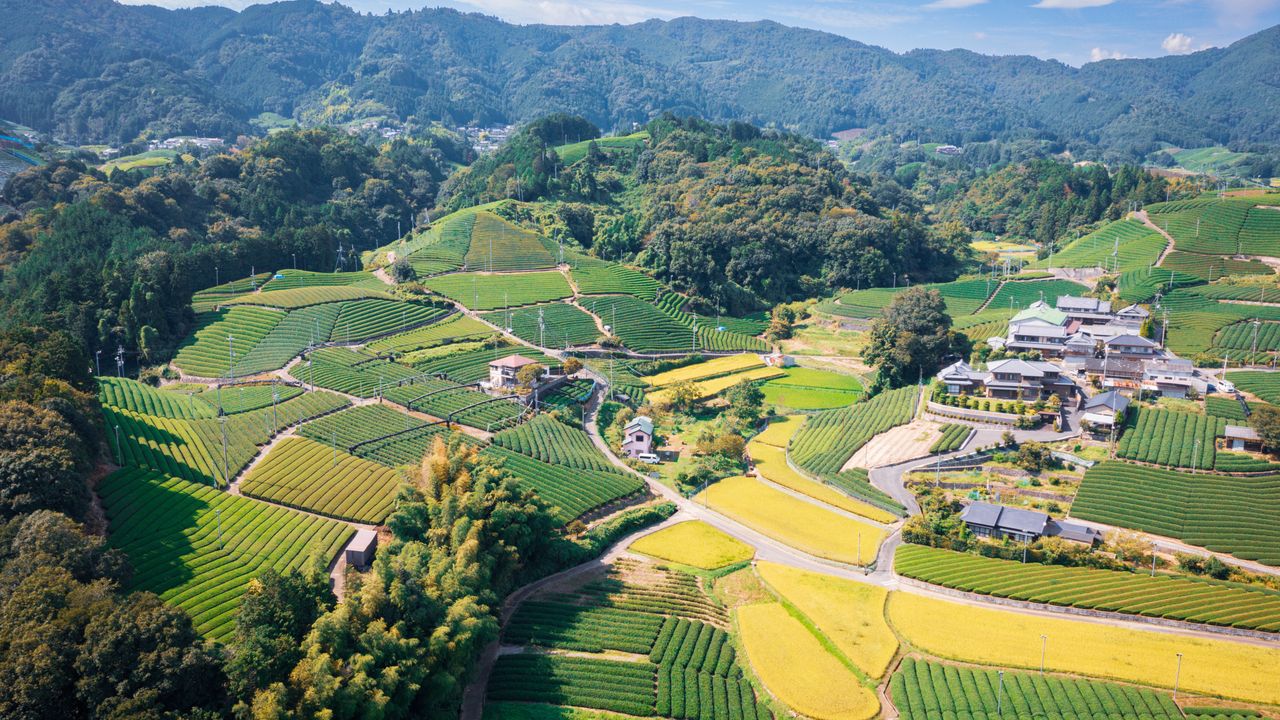 Condé Nast Traveler