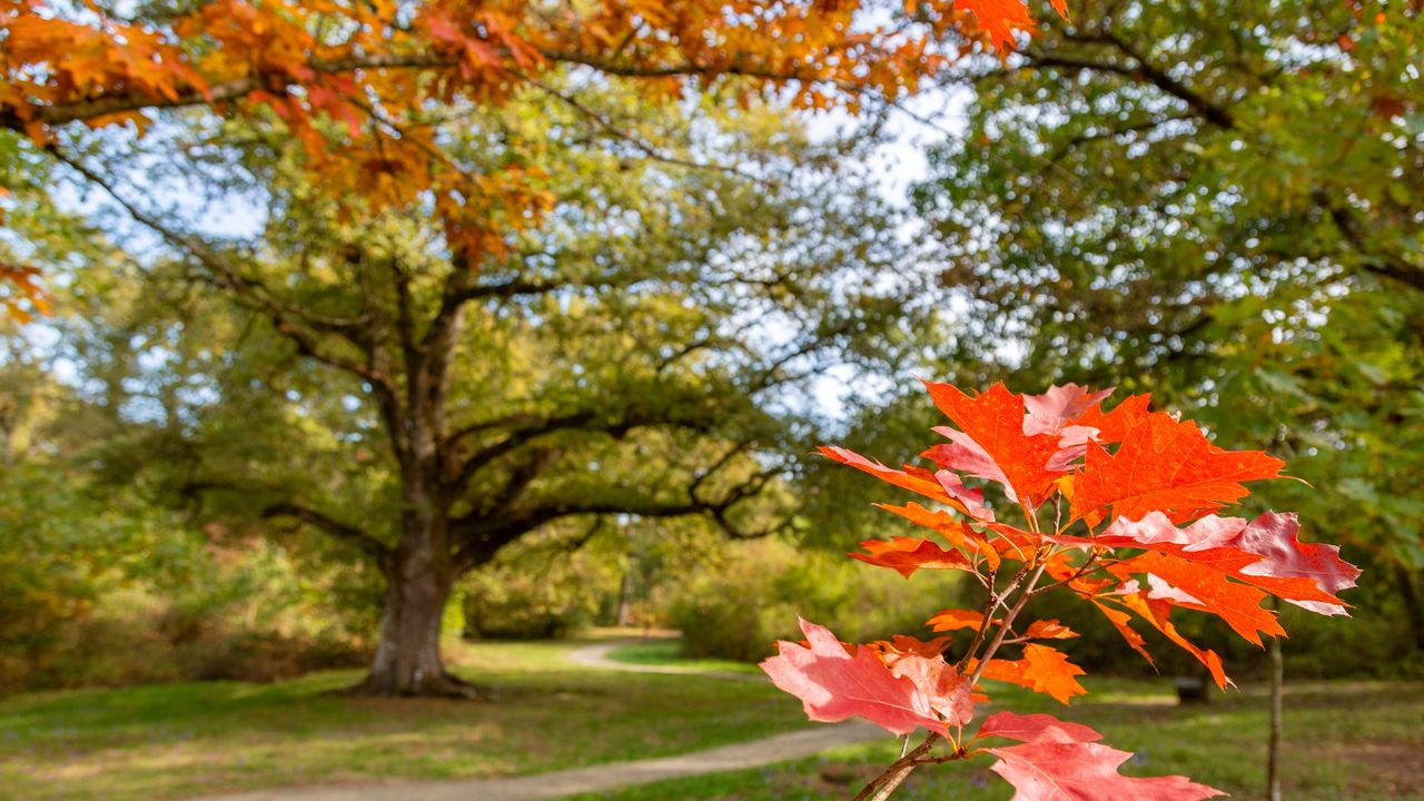 Condé Nast Traveler