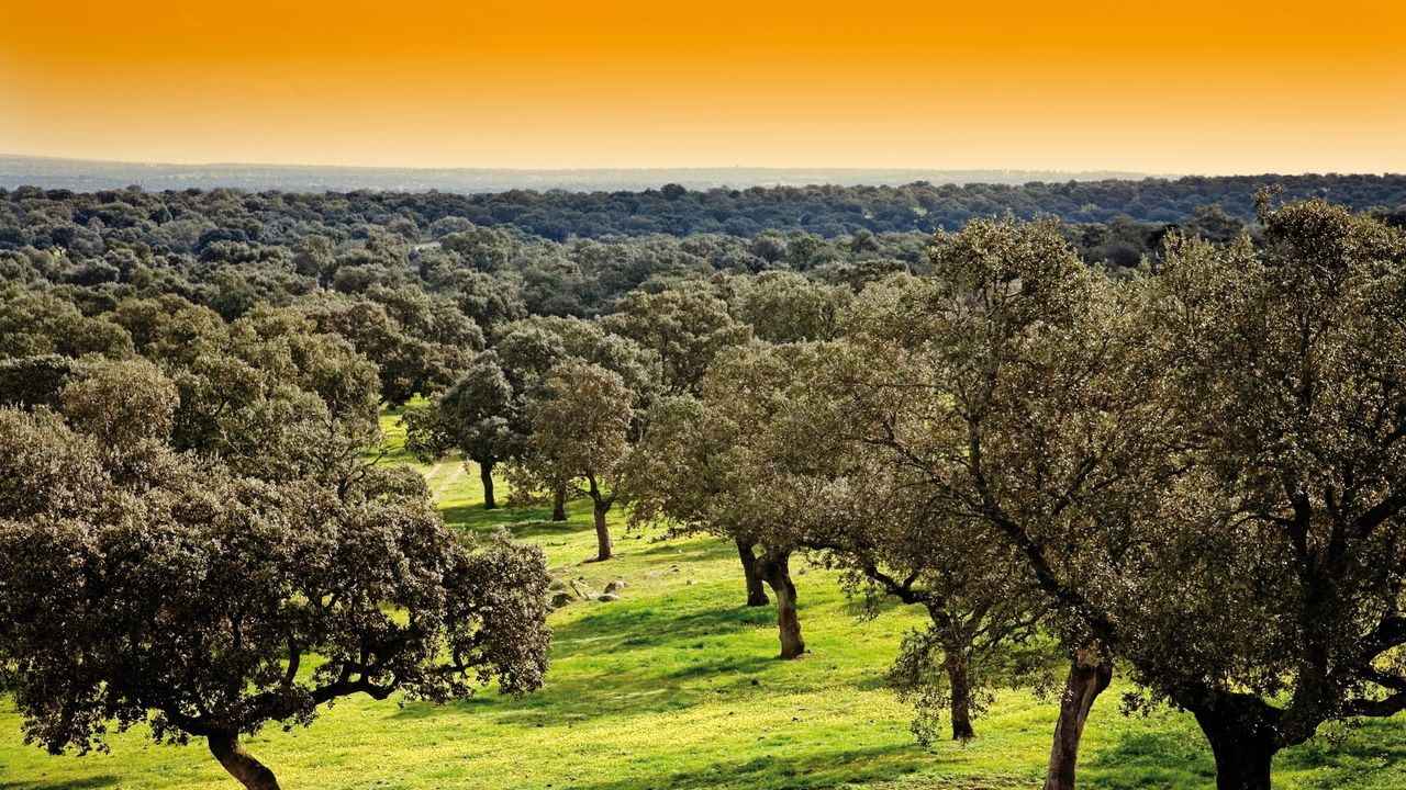 Condé Nast Traveler