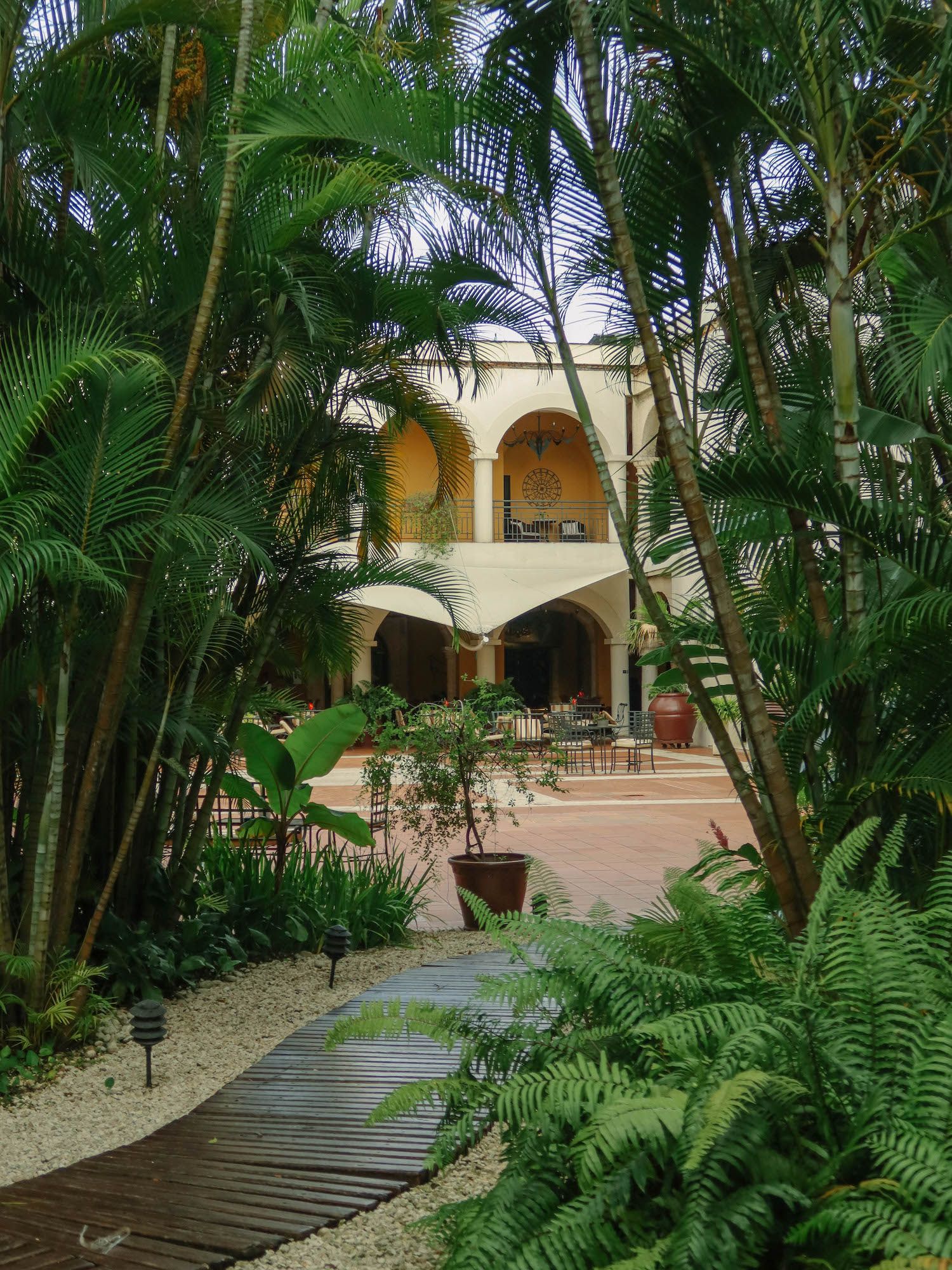 Hodelpa Nicols de Ovando