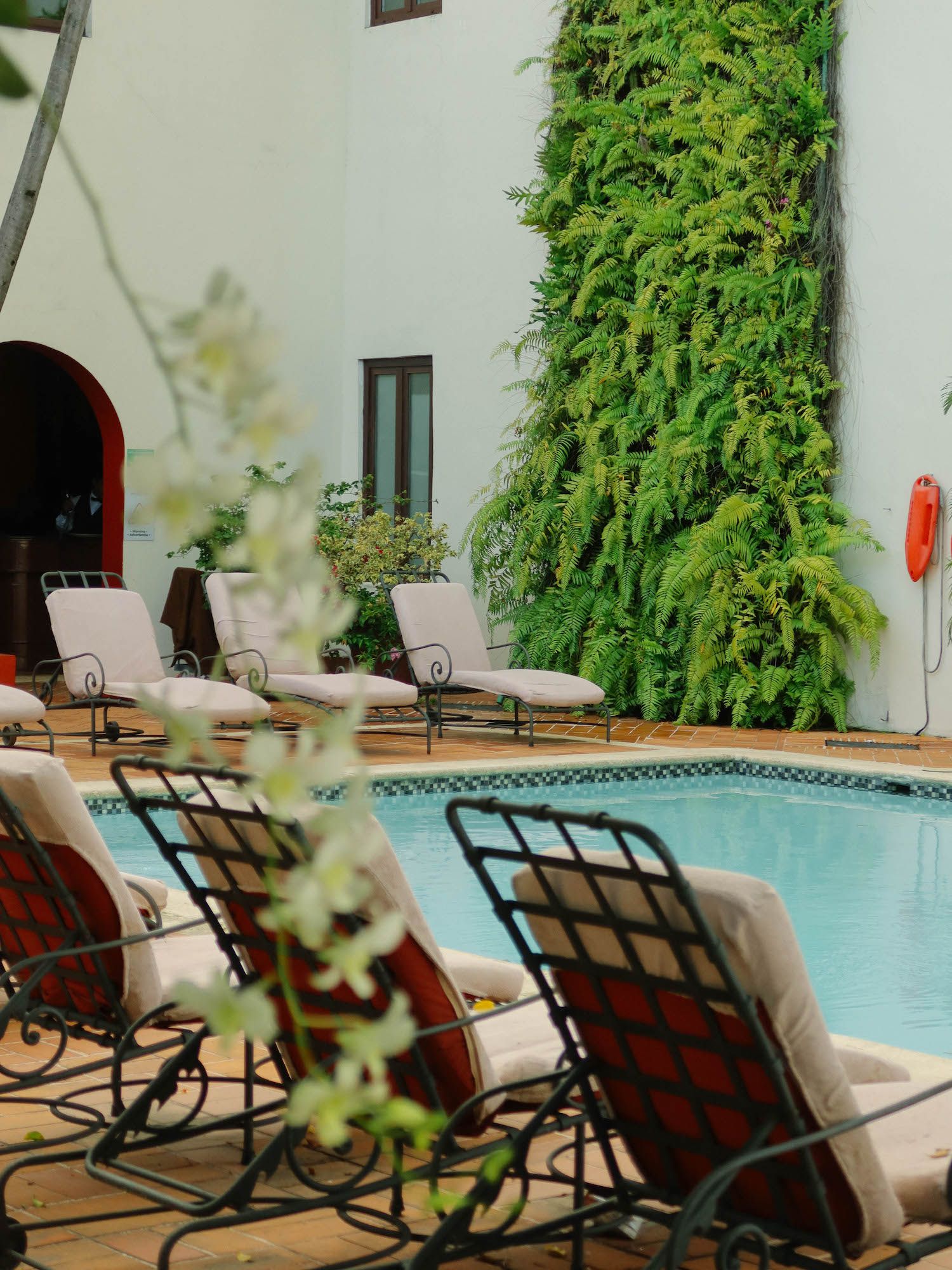 Dans la piscine de l'hôtel.