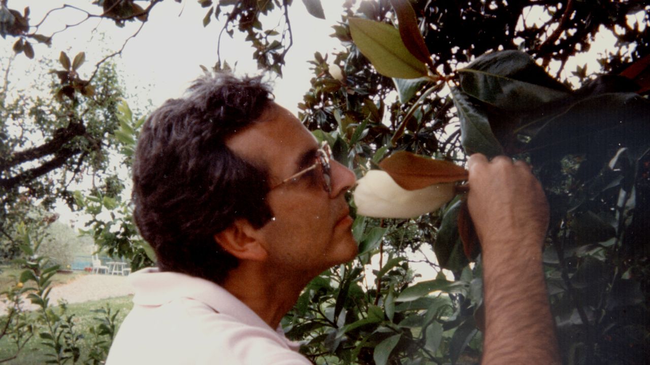 Condé Nast Traveler