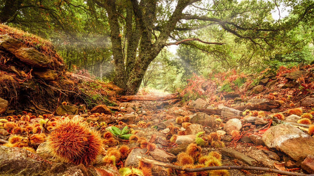 30 paysages pour vivre un automne parfait en Espagne