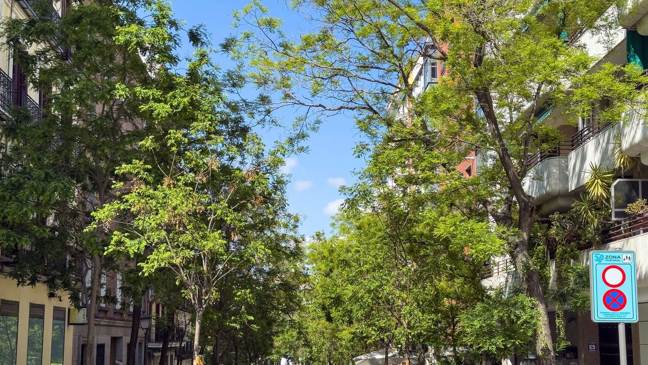 Condé Nast Traveler