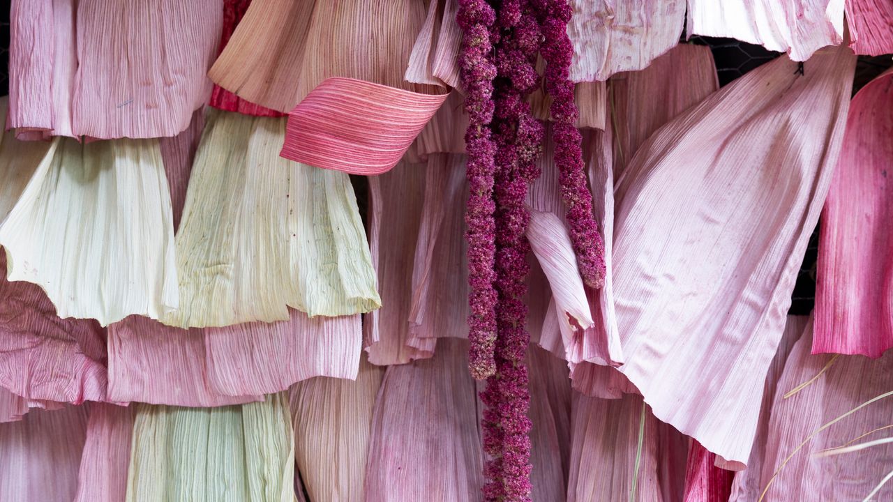 Festival de la Flore 2025 : c'est ainsi que les patios les plus emblématiques de Cordoue ont été laissés grâce à l'art floral