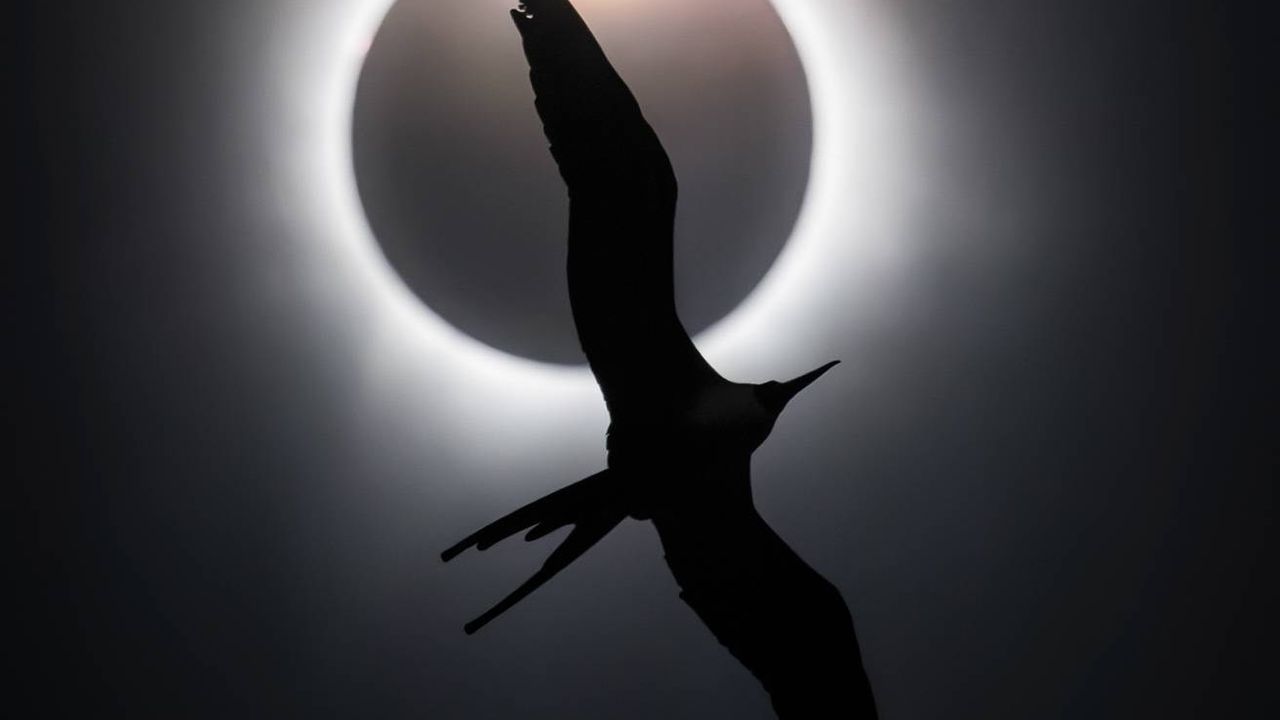 Condé Nast Traveler