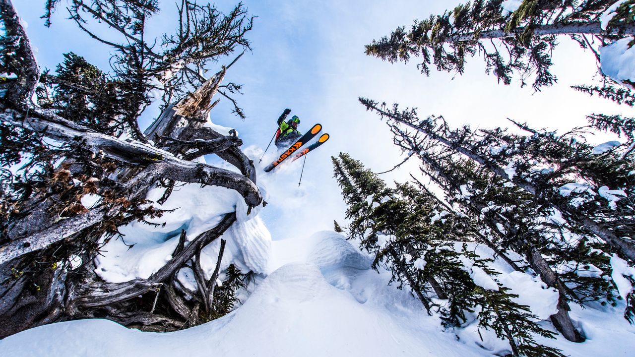 Le Canada, la meilleure destination pour se perdre en hors-piste cet hiver