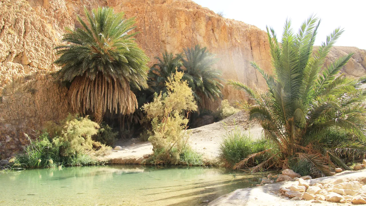 Condé Nast Traveler