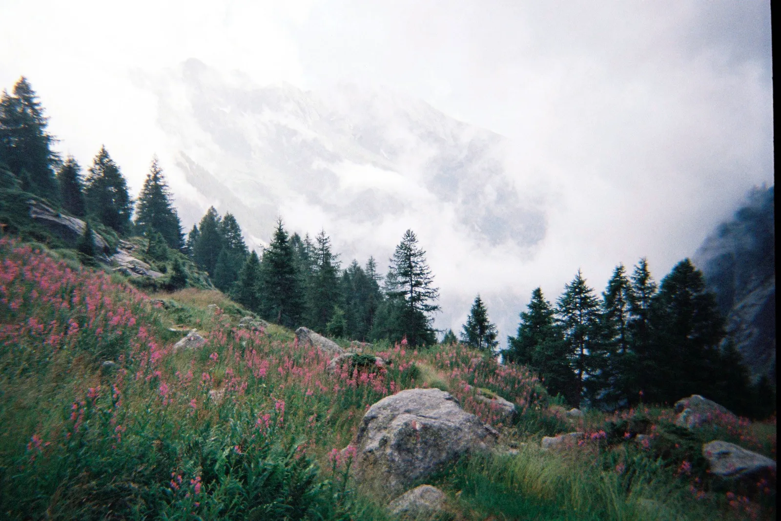 Conie Vallese dans les Dolomites en Italie.
