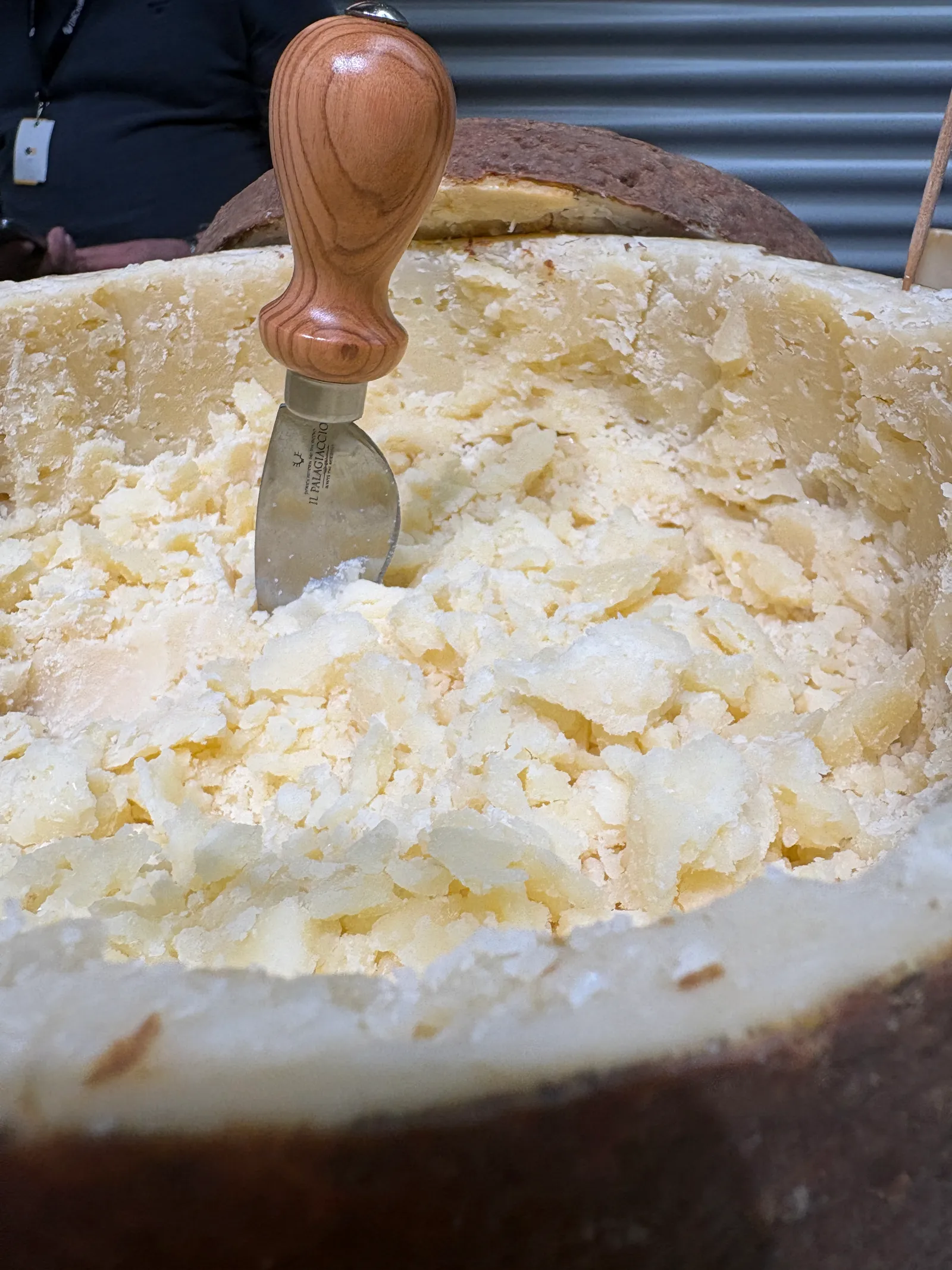 Le Gran Mugello Ubaldino est un fromage bijou.