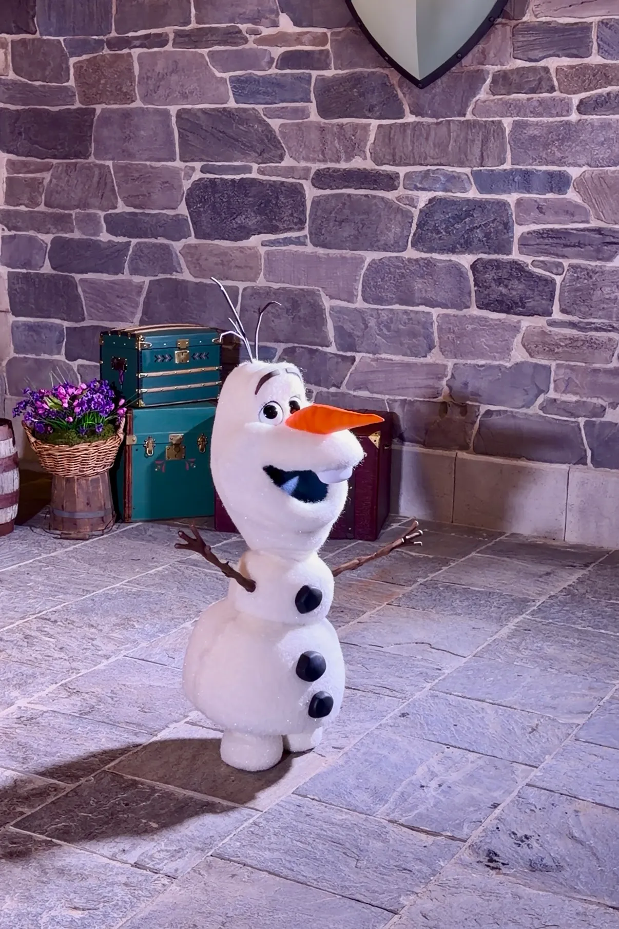 Olaf