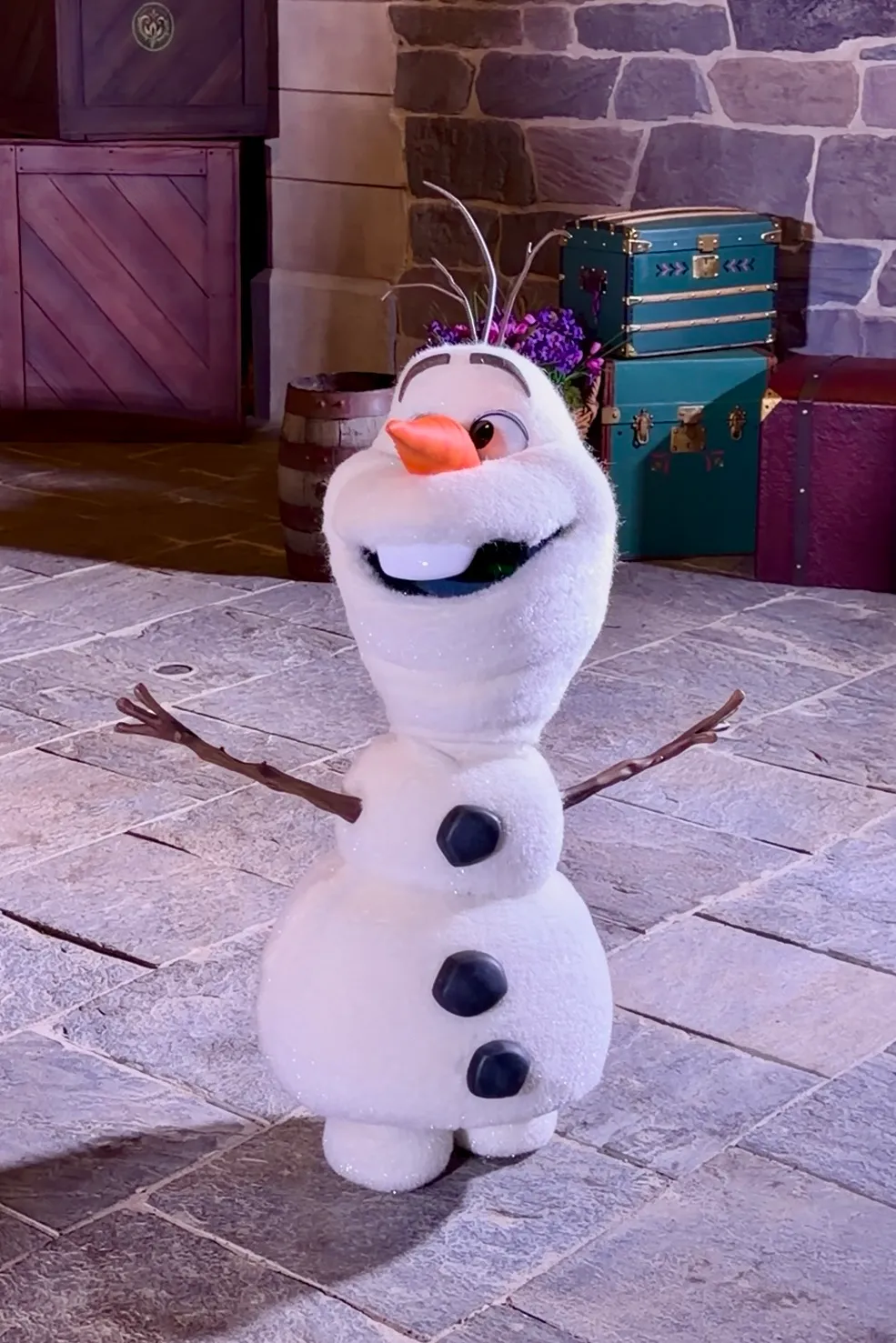 Olaf