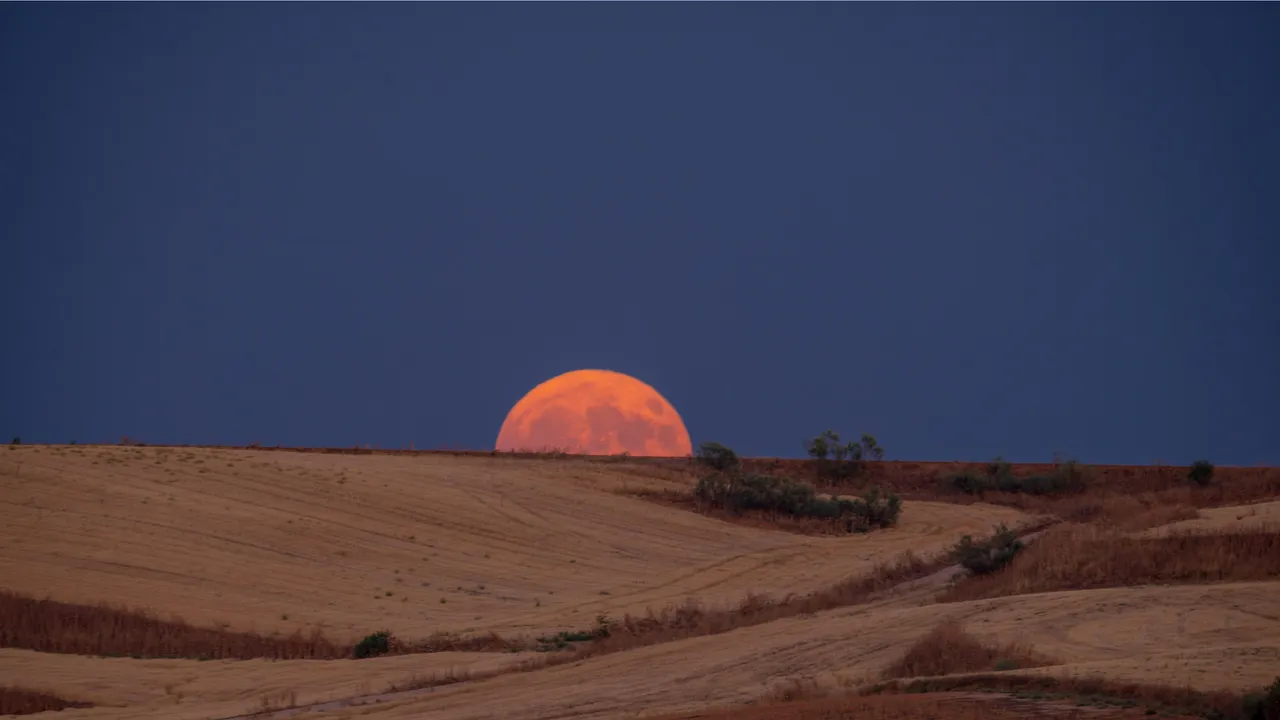 Condé Nast Traveler