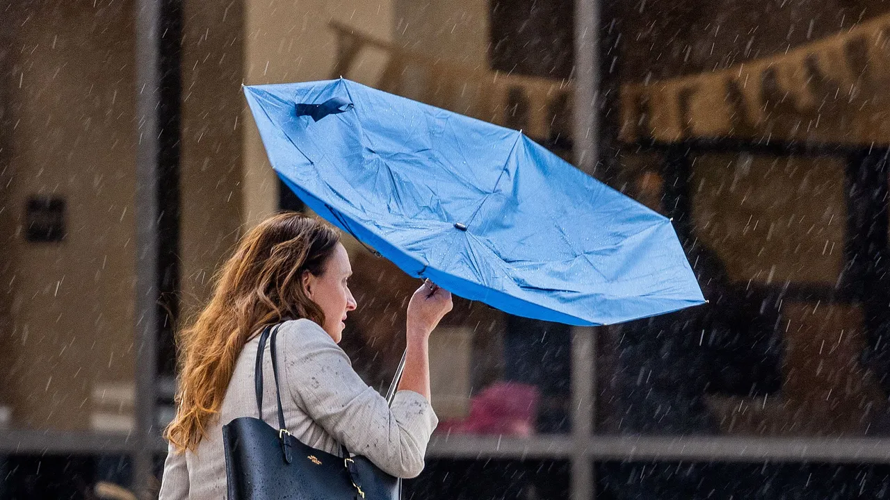 Les indispensables pour la pluie : tout ce dont vous avez besoin pour survivre à la tempête