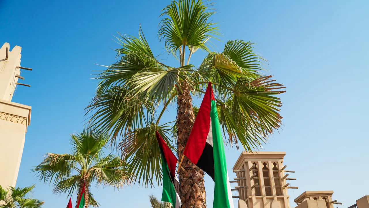 Tout ce que vous devez savoir si vous êtes bloqué aux Émirats arabes unis