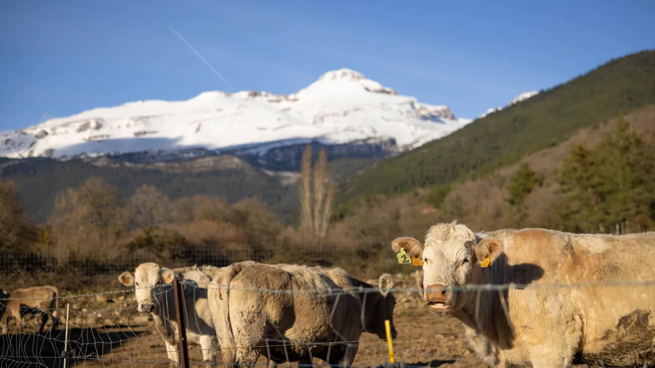 Condé Nast Traveler