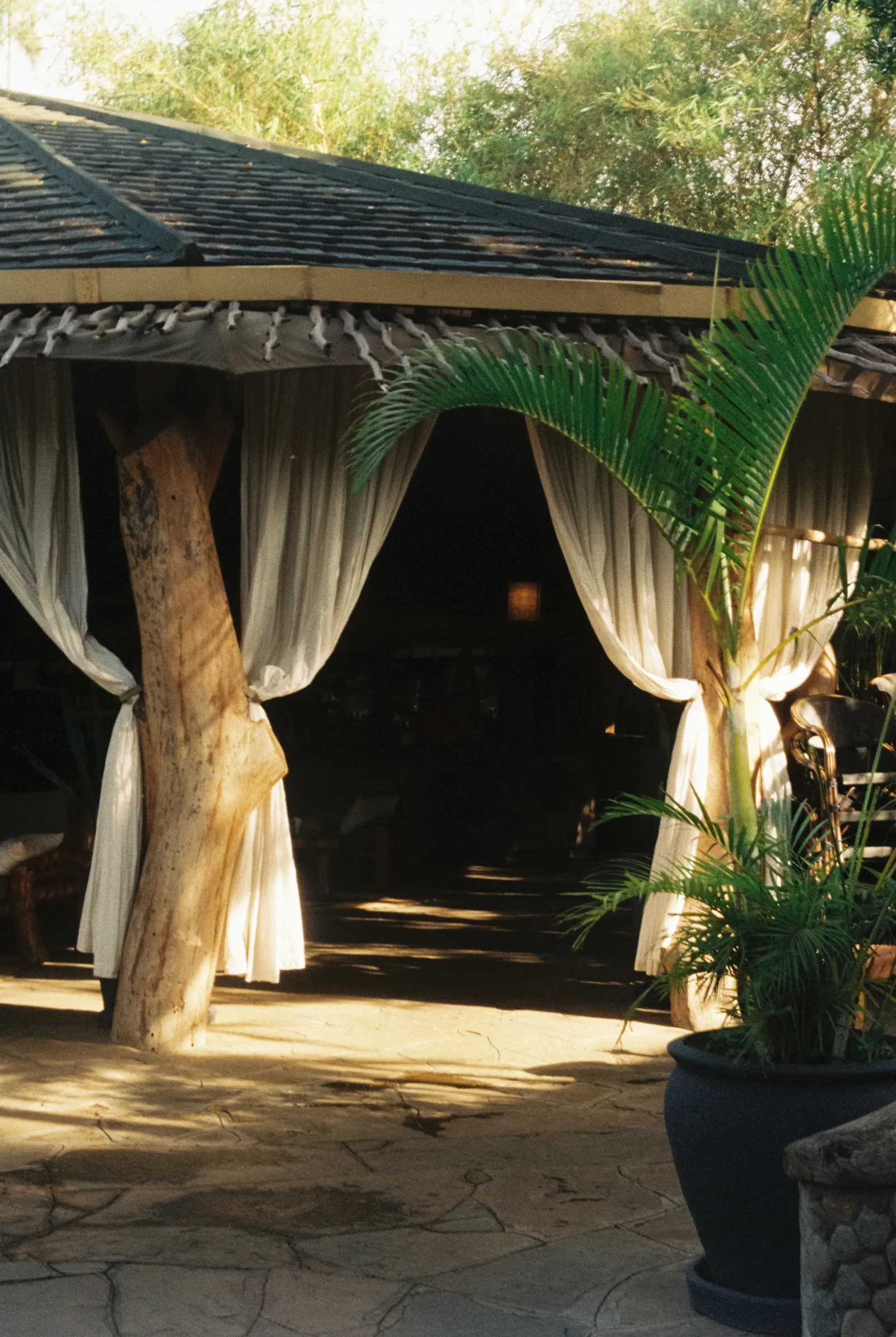 Promenade matinale jusqu'au petit-déjeuner Kibo