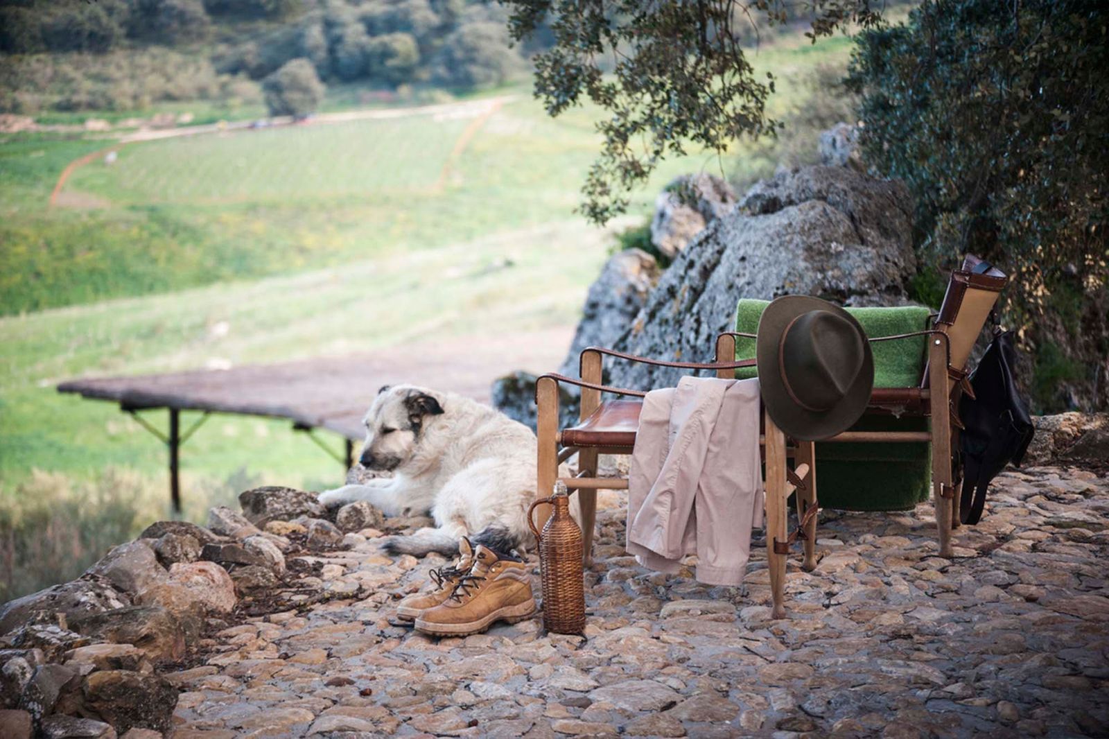 chien et chaise en plein air à la donaira