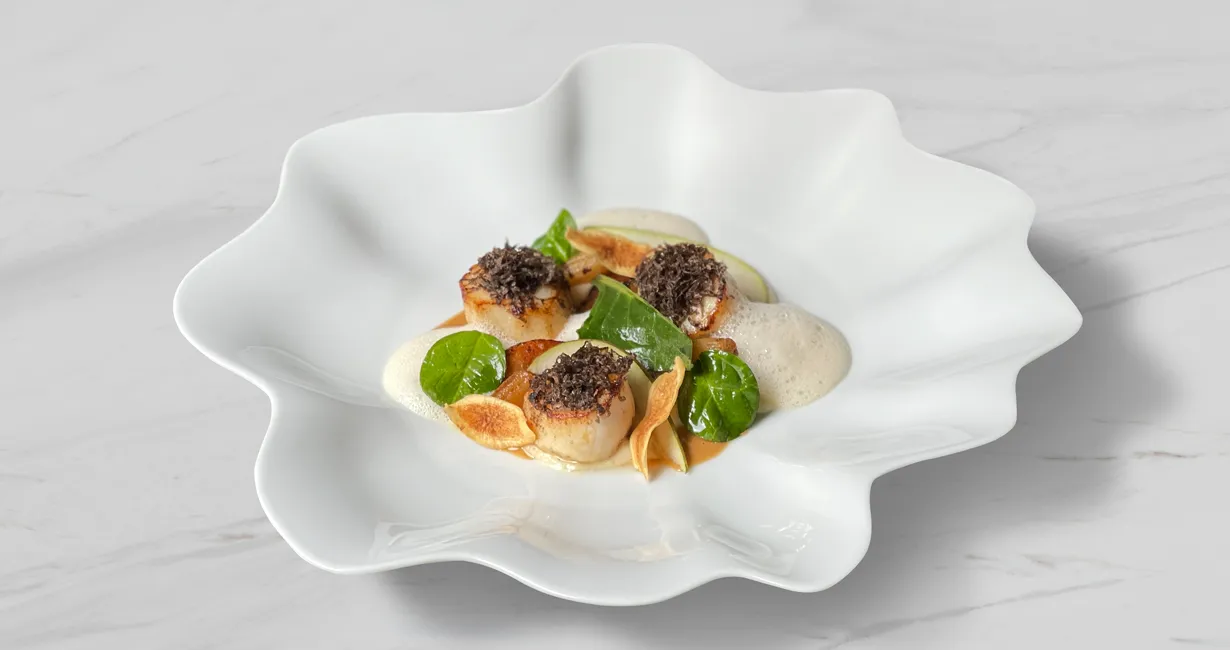 Pétoncle à Allgorie.