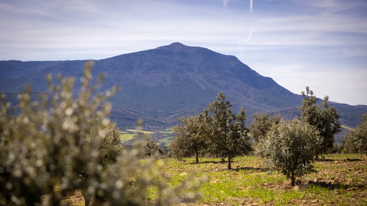 Étape par étape, voici un itinéraire (agro)gastronomique incontournable à travers le Haut Aragón