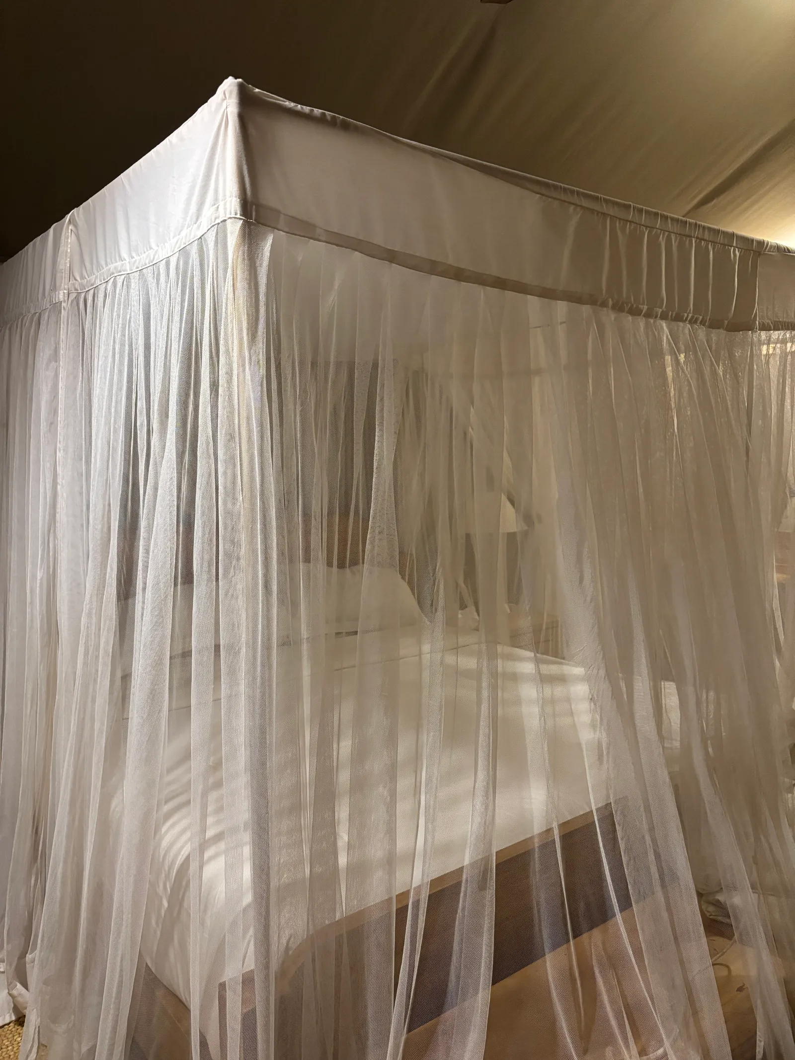 Tous les lits ont une moustiquaire