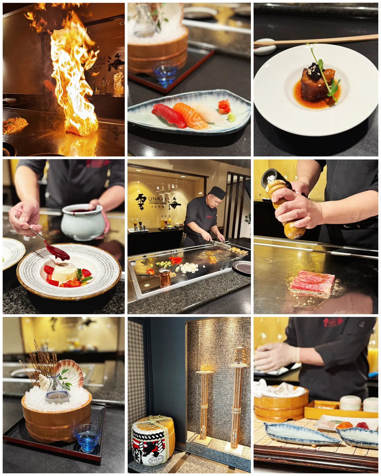 Unkai Grand Hotel Vienne