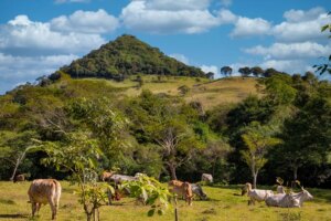 Visa doré du Paraguay : résidence permanente pour 150 000 $