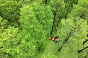 Luyang, Chine : une forêt aquatique énigmatique