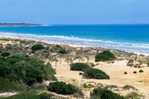 L&rsquo;Espagne continue d&rsquo;être le leader mondial des Pavillons Bleus : cette année, ils flotteront sur 794 plages