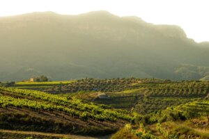 Priorat au-delà de la saison des récoltes