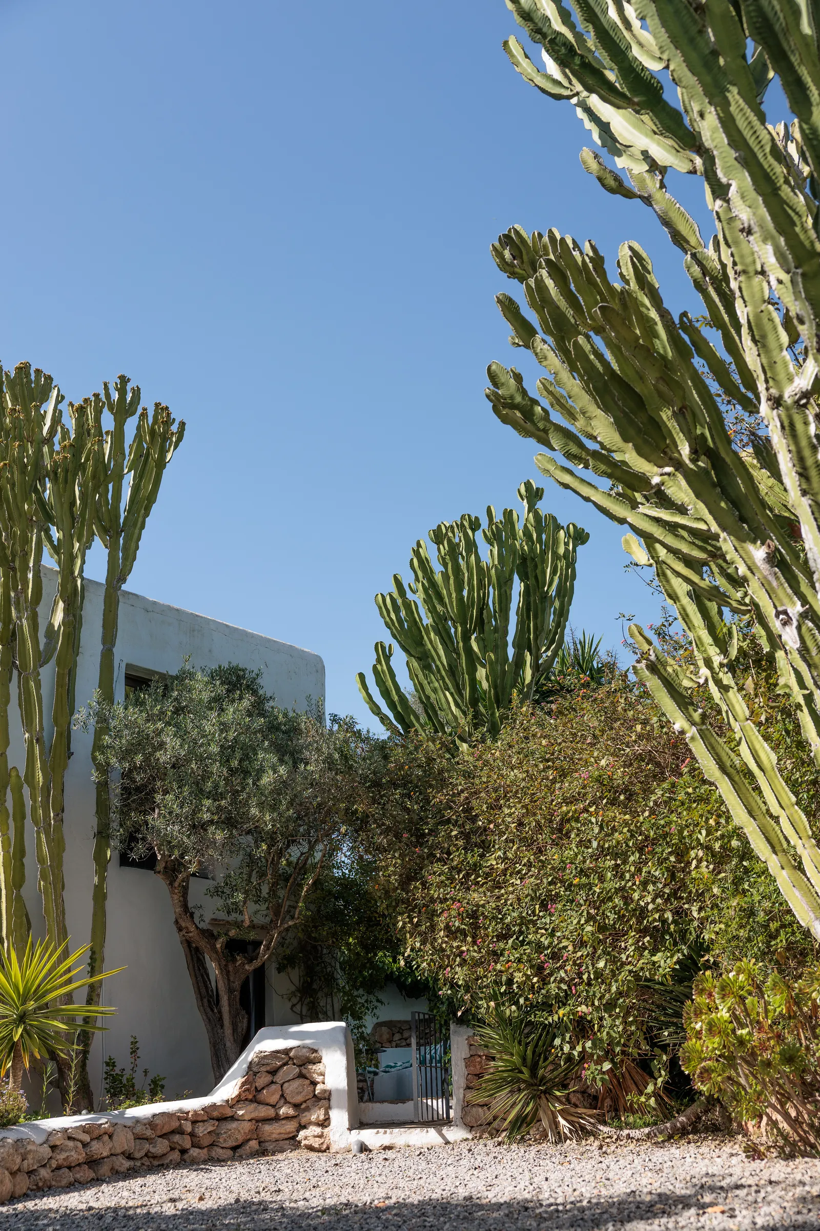 Finca Legado Ibiza