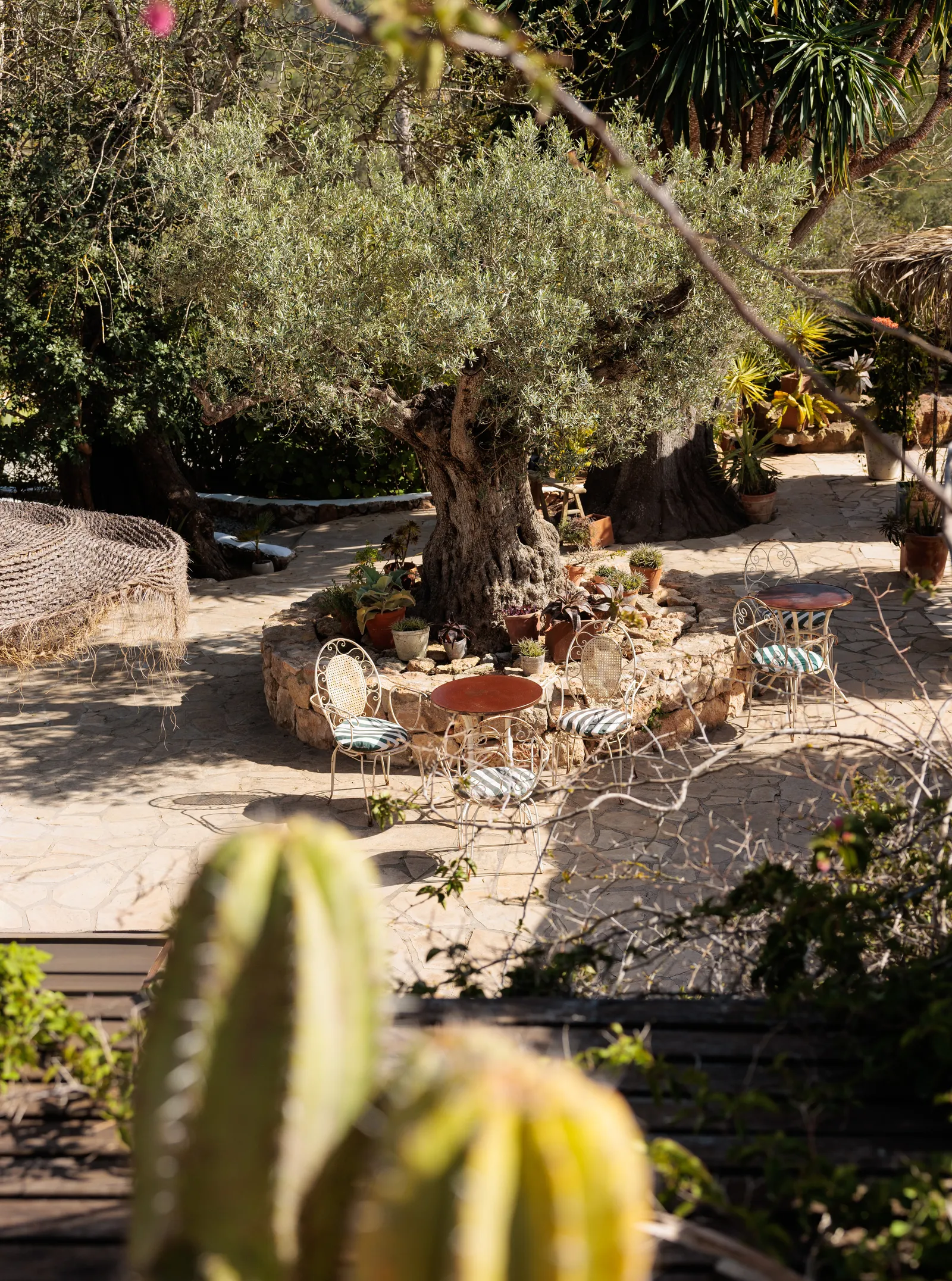 Finca Legado Ibiza