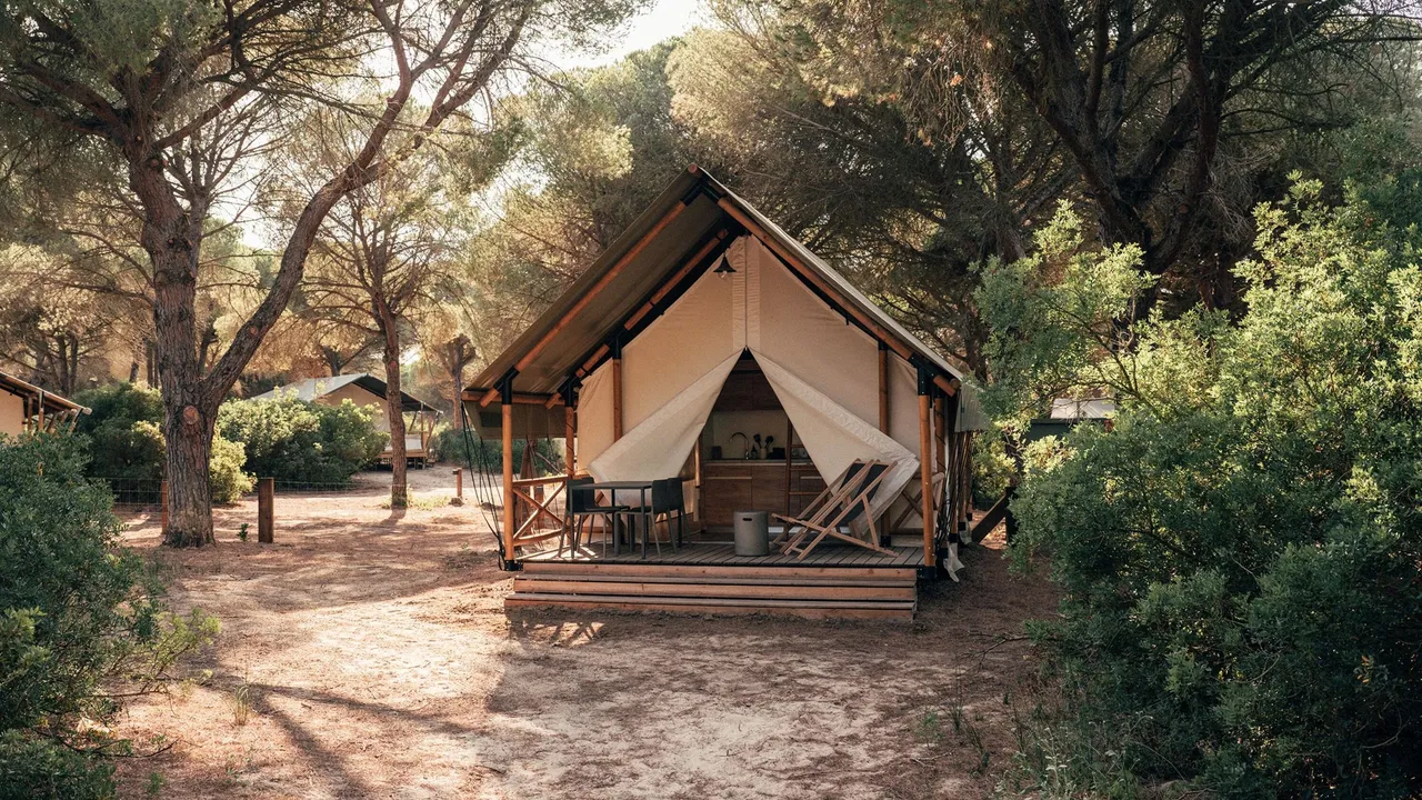 WeCamp Cádiz : où les pins et la lumière s'amusent à créer des ombres
