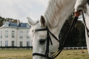 Domaine de Maffliers, une escapade équestre à côté de Paris