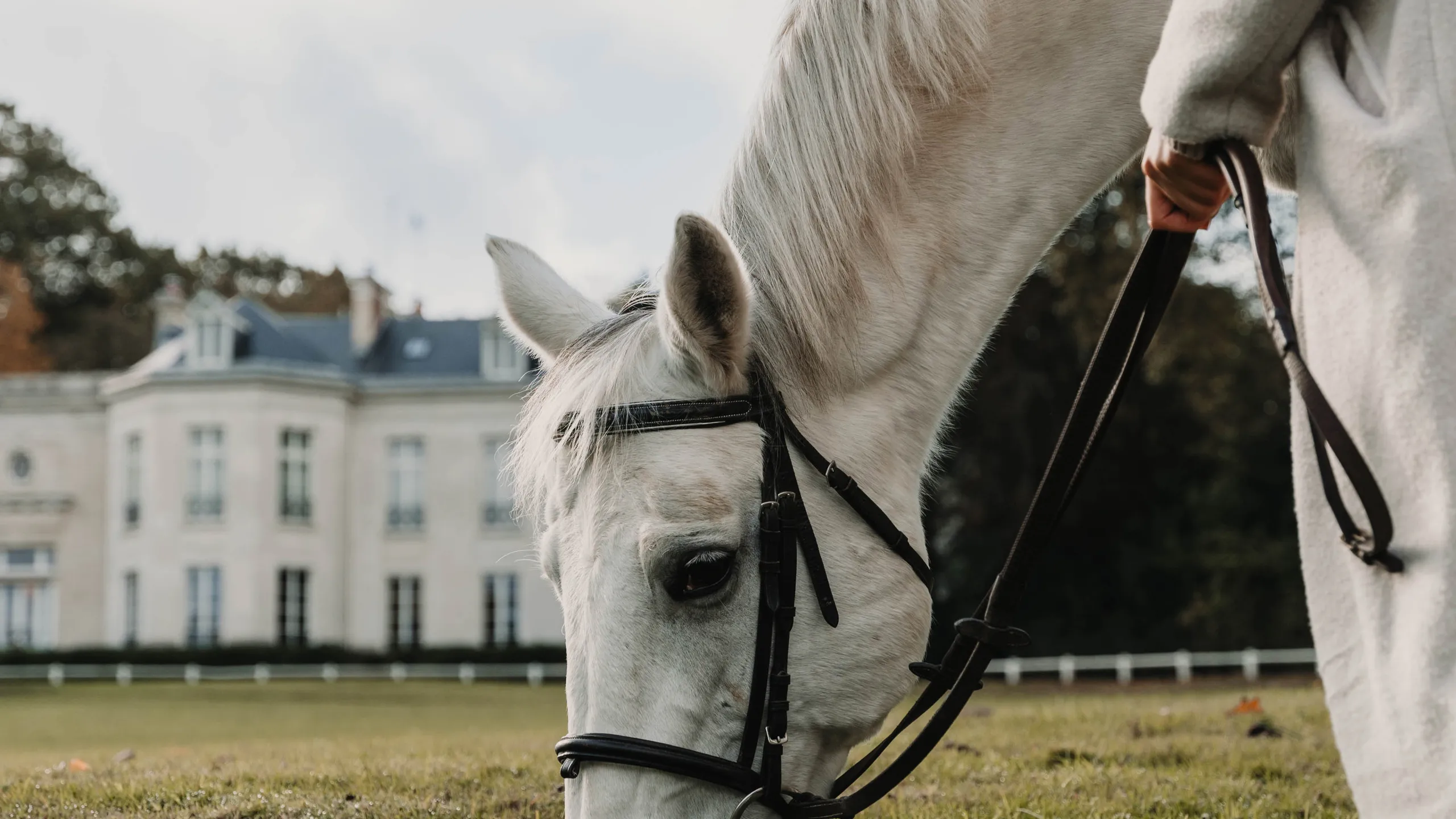 Domaine de Maffliers, une escapade équestre à côté de Paris