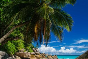 Les îles Seychelles pour la première fois