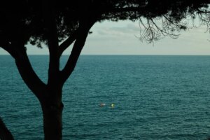 La Méditerranée n’écrit pas de livres