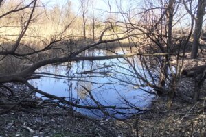 Lagunas de Horna, c&rsquo;est la zone humide récupérée par les habitants de Getafe