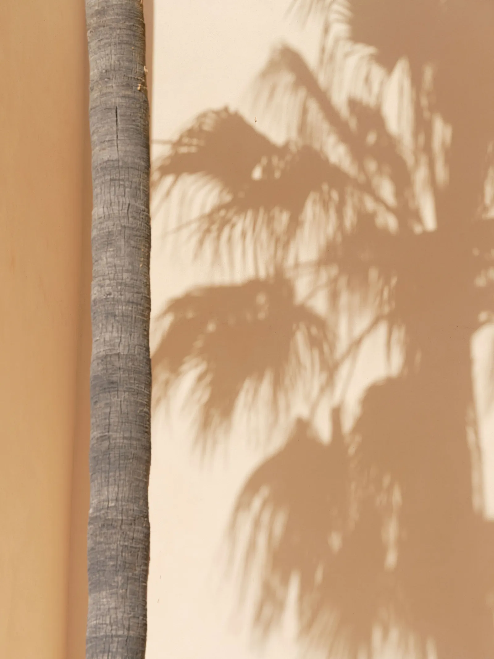 First In Mandarin Oriental Punta Negra, la Majorque qu’on aime