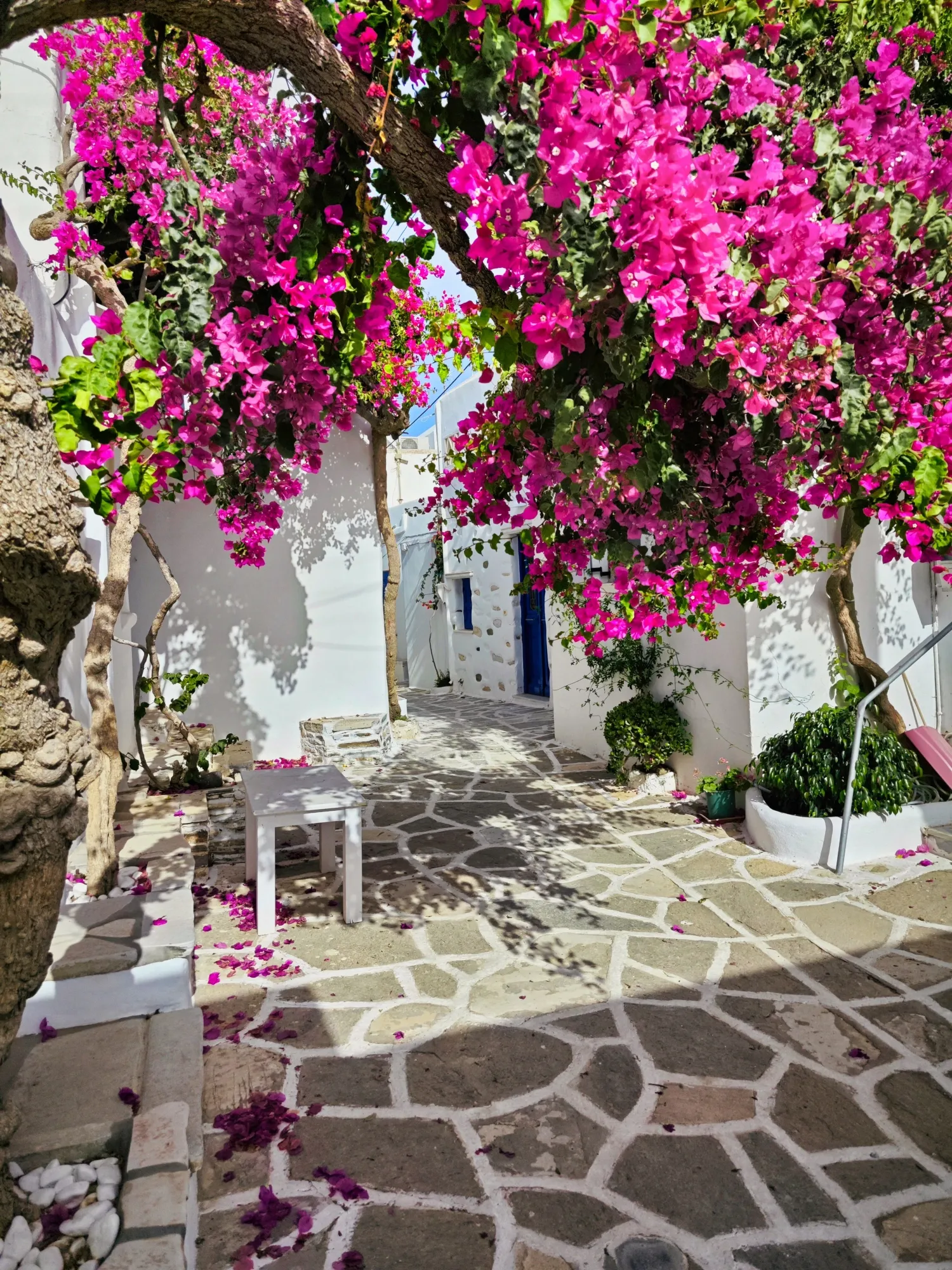 Une des rues de Prodromos. Arrêts. Grèce.