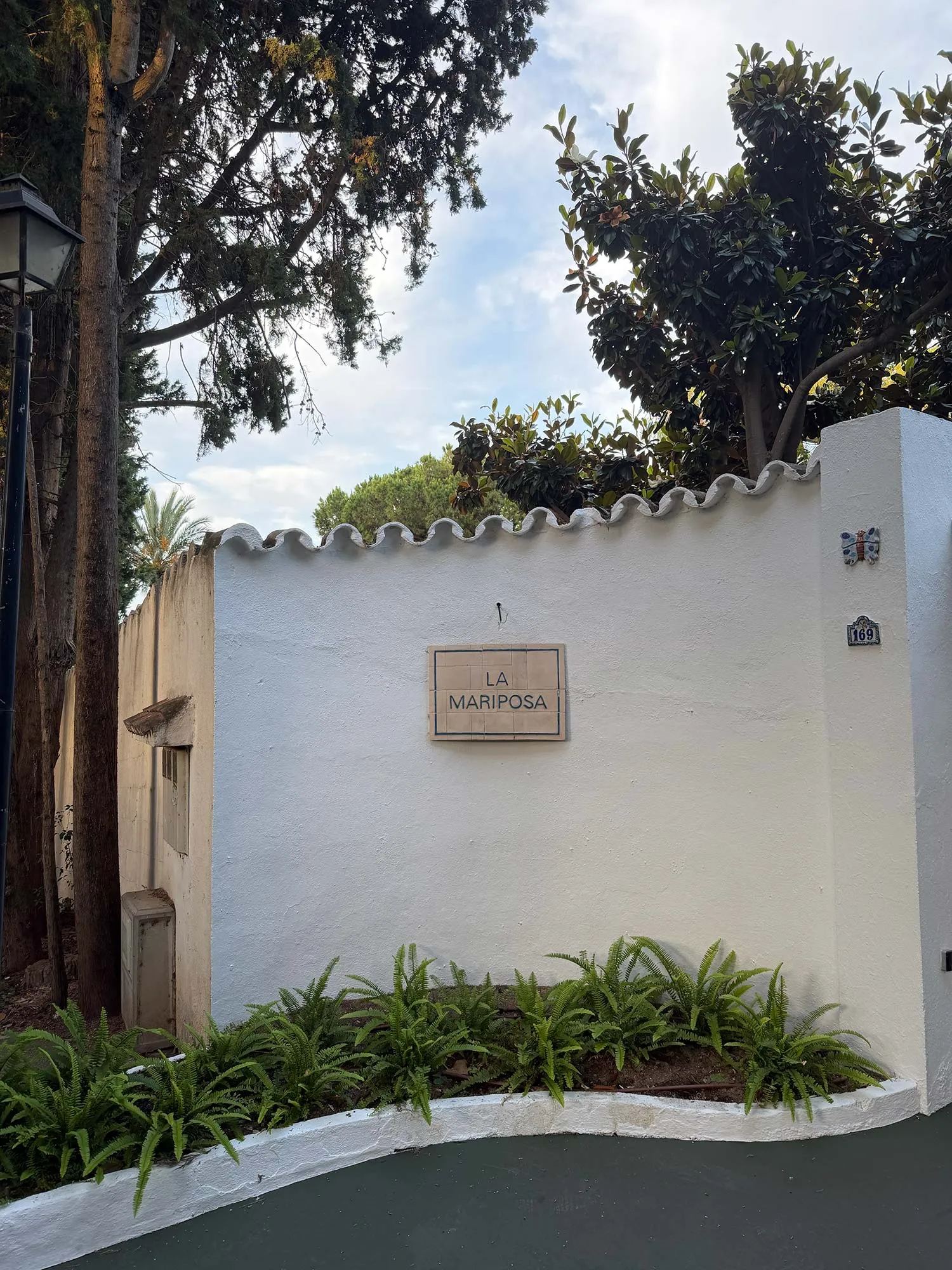 Le papillon Buchinger Wilhelmi Marbella