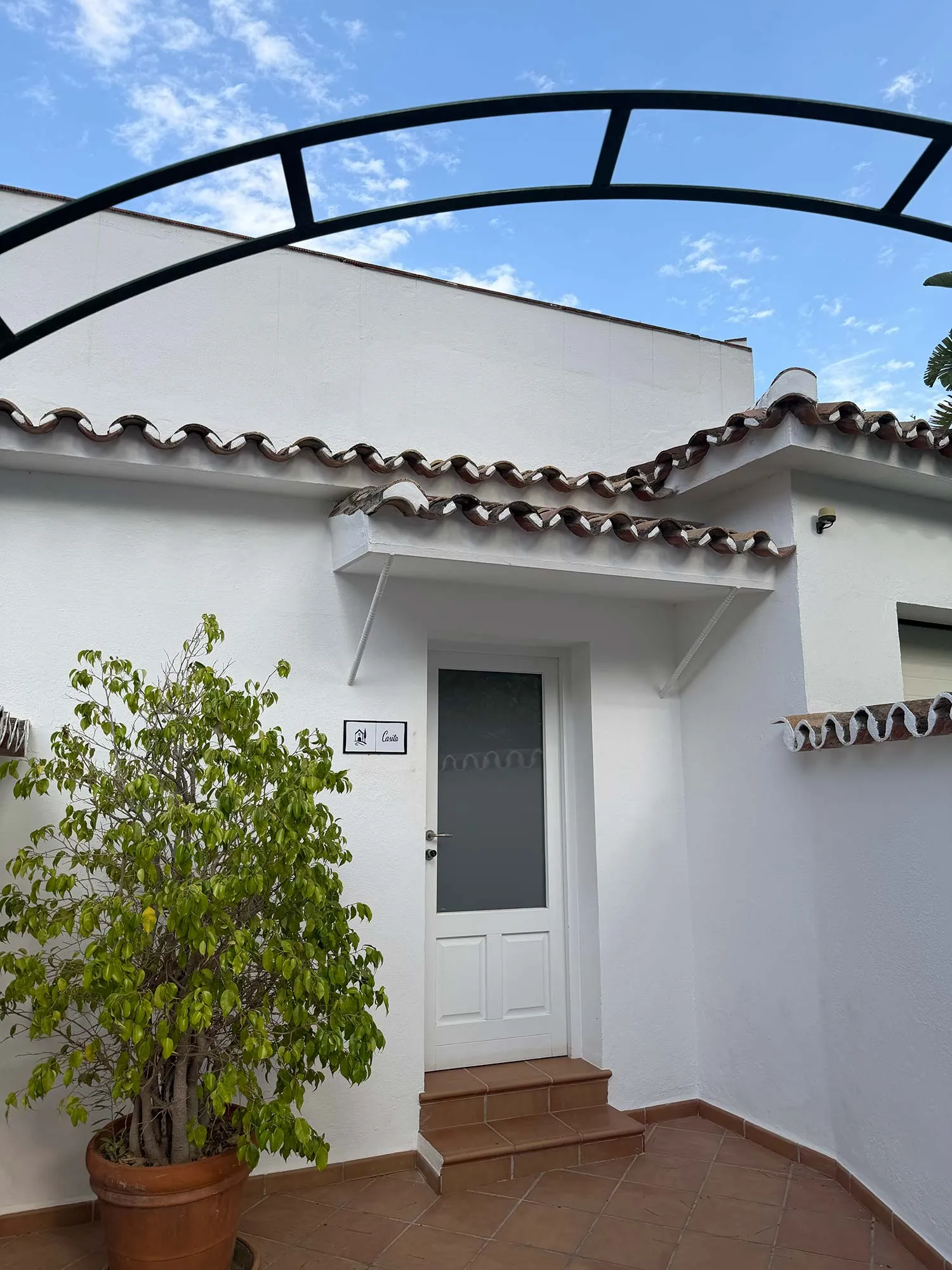 Le papillon Buchinger Wilhelmi Marbella