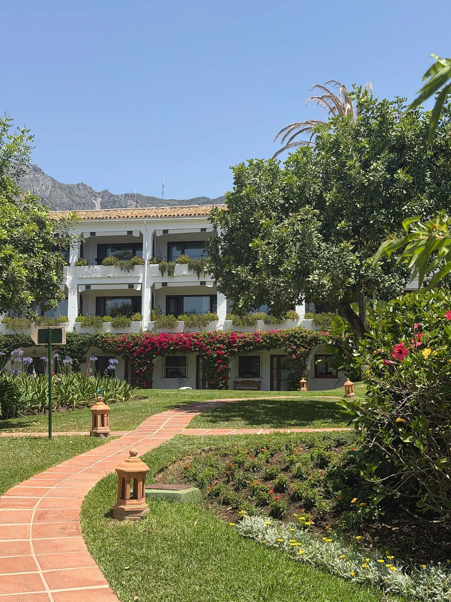 Le papillon Buchinger Wilhelmi Marbella