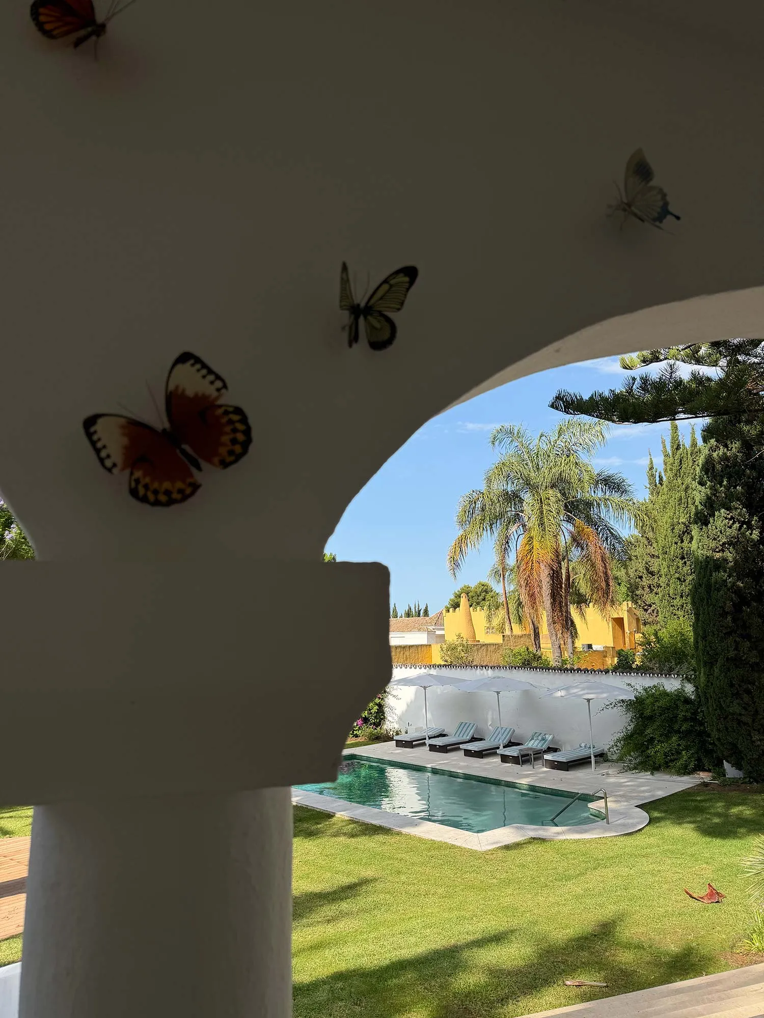 Le papillon Buchinger Wilhelmi Marbella