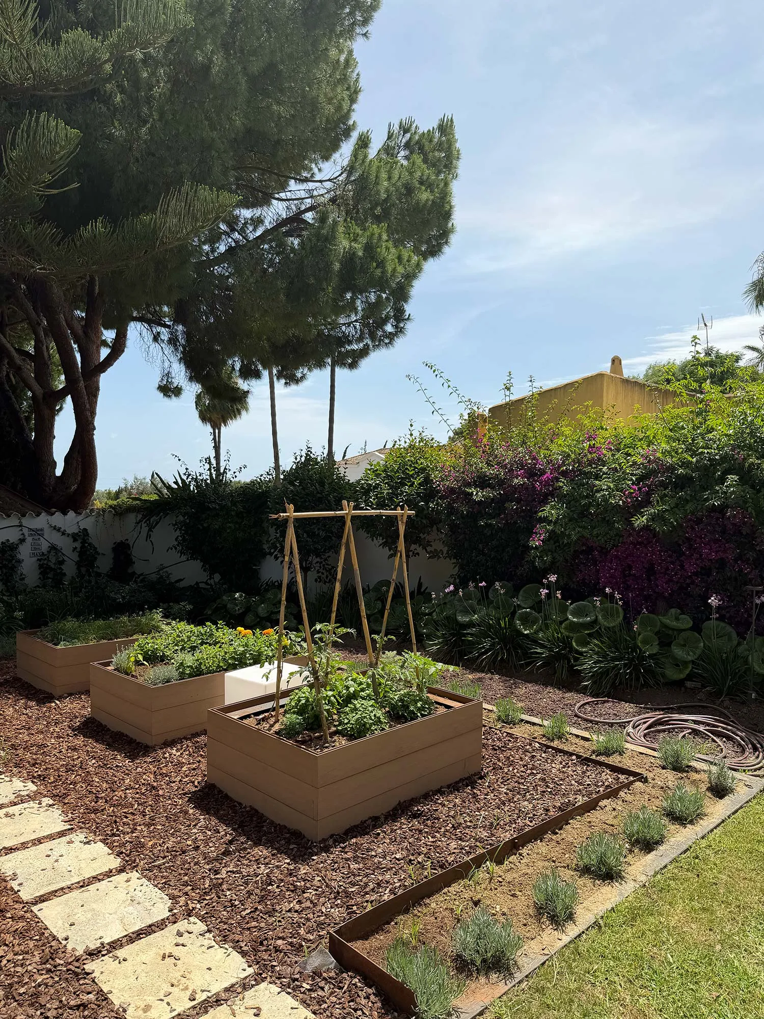 Le papillon Buchinger Wilhelmi Marbella