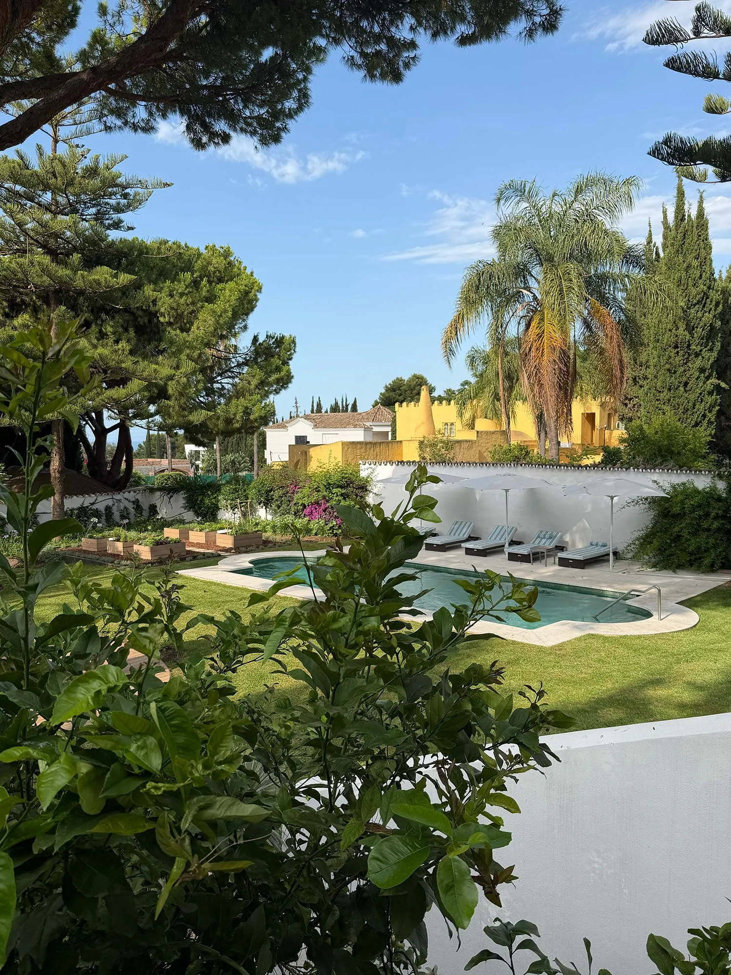 Le papillon Buchinger Wilhelmi Marbella